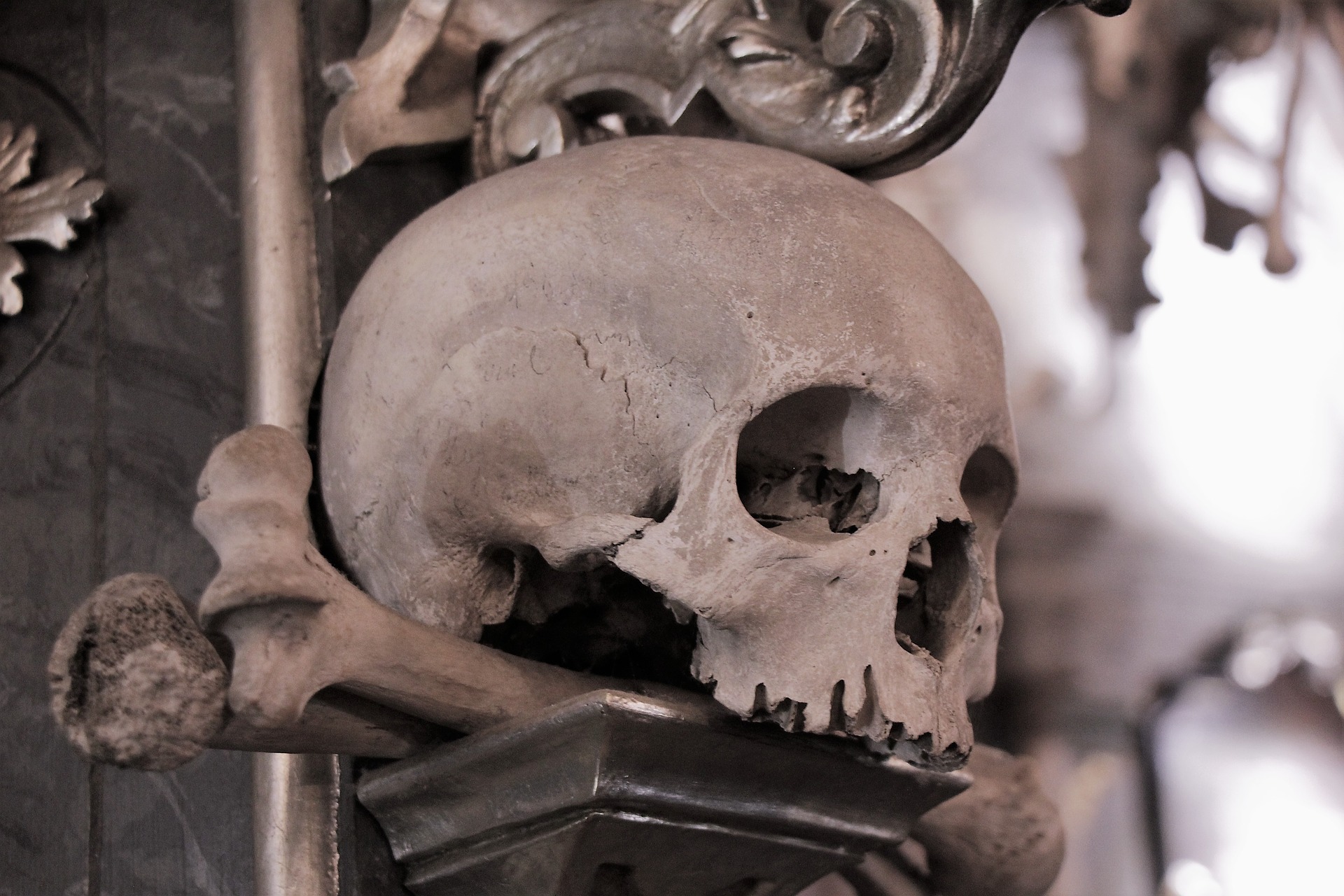 Skull in the Sedlec Ossuary, near Kutna Hora.