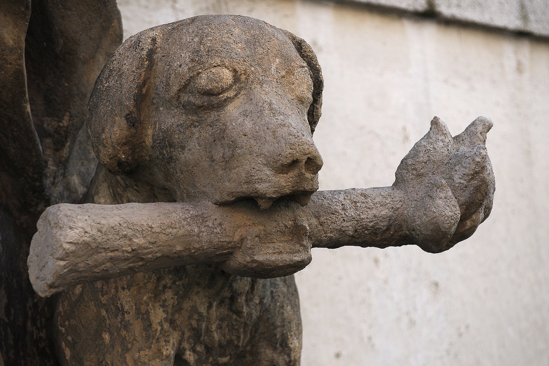 Dog and bone statue in České Budějovice