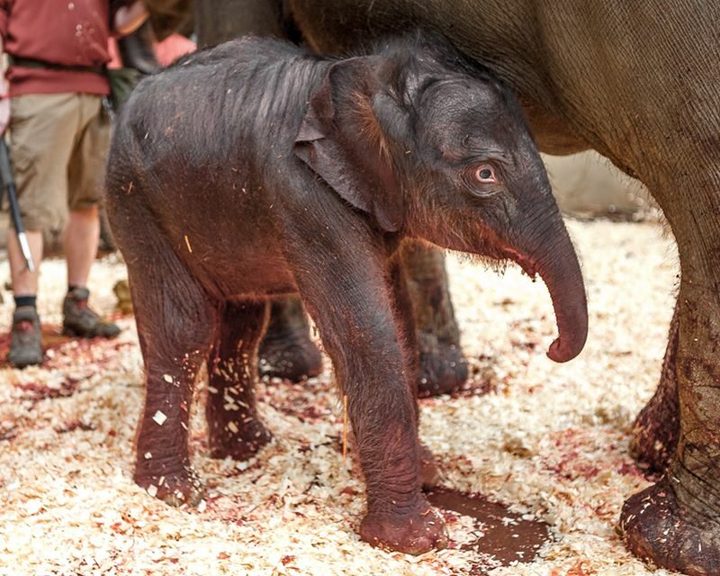 Family Trip to Prague ZOO for Children