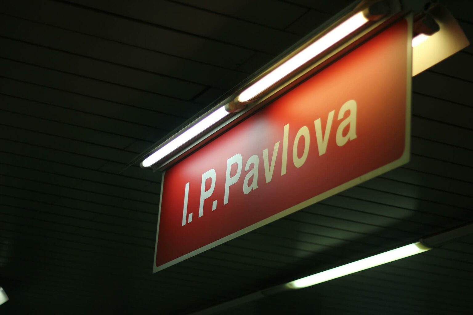 ip pavlova