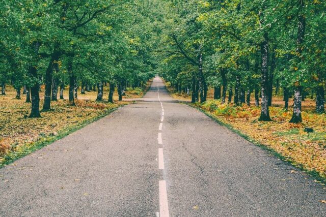 Take a road trip in the Czech Republic in autumn.